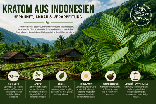 Kratom aus Indonesien – Herkunft, Anbaugebiete und traditionelle Verarbeitung