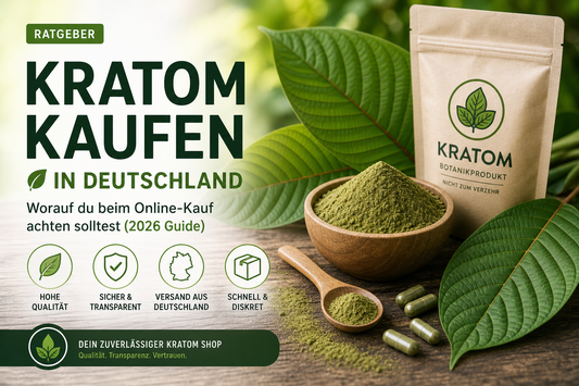 Kratom kaufen in Deutschland: Worauf du beim Online-Kauf achten solltest (2026 Guide)